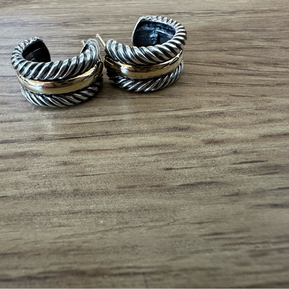 Silver and Gold Tone Hoop Earrings